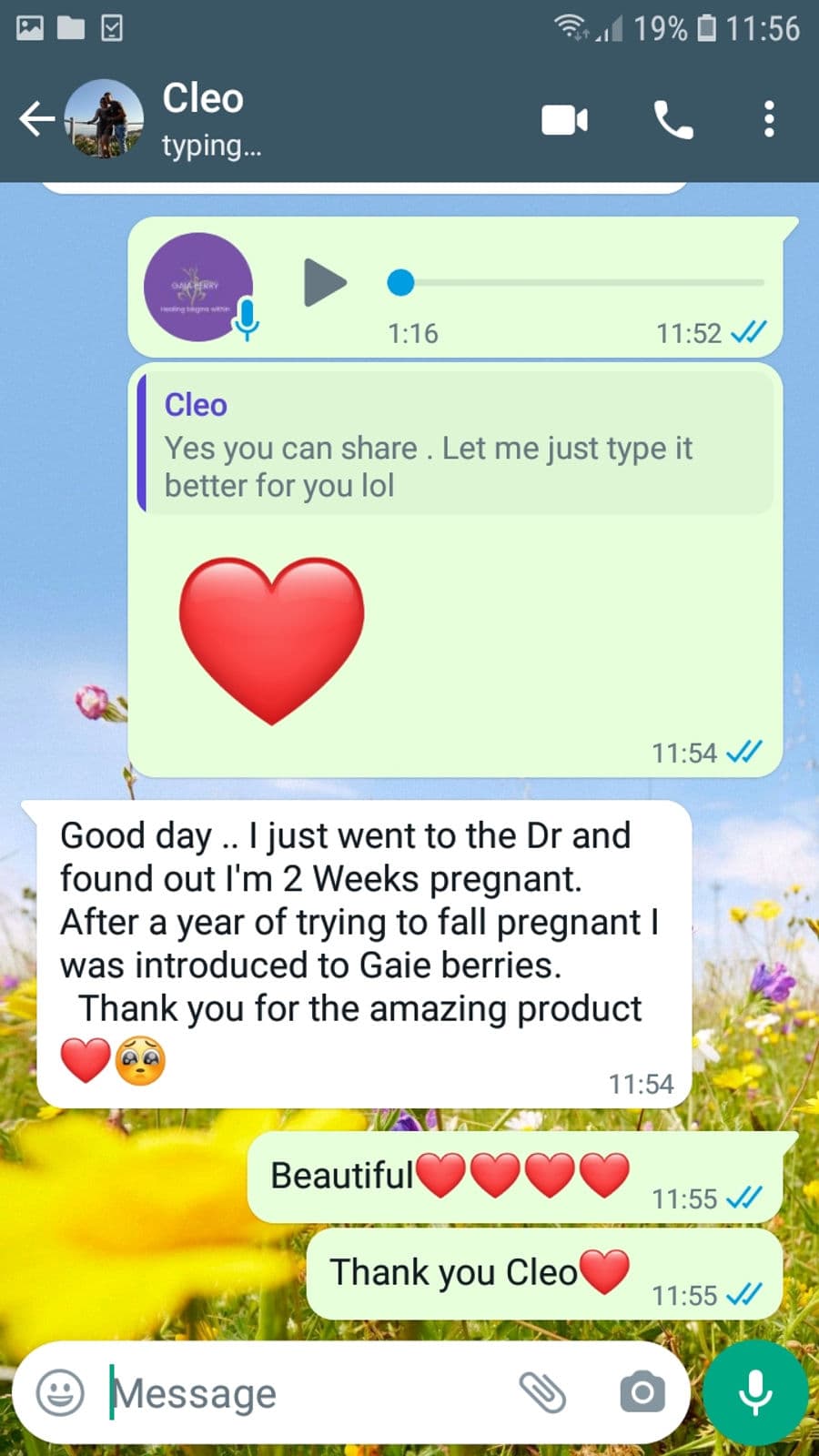 WhatsApp testimonial from a GaiaBerry customer (24)