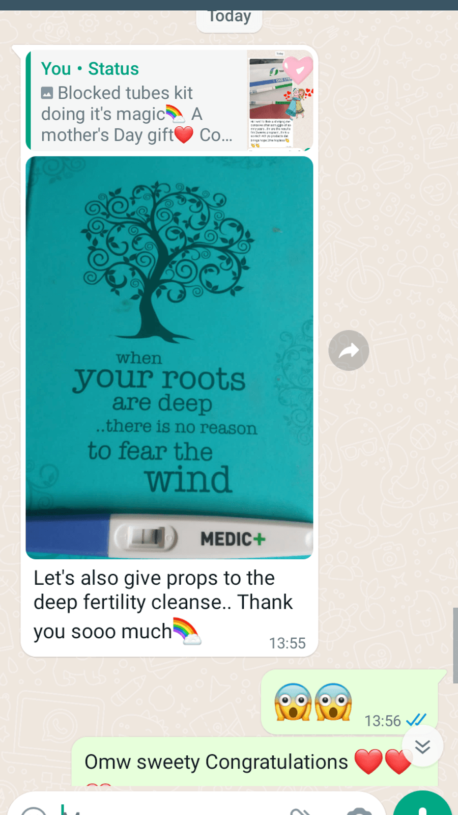 WhatsApp testimonial from a GaiaBerry customer (11)